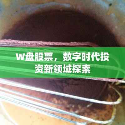 W盘股票,数字时代投资新领域探索