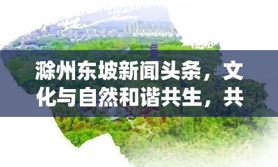 滁州东坡新闻头条,文化与自然和谐共生,共创美好未来