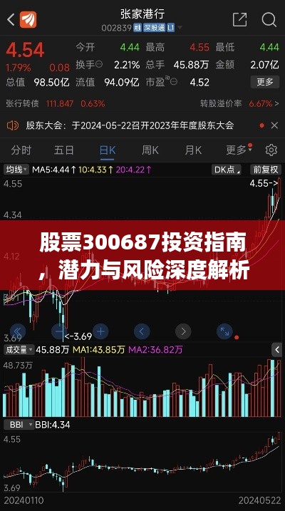 股票300687投资指南,潜力与风险深度解析