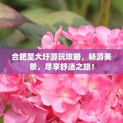 合肥至大圩游玩攻略,畅游美景,尽享舒适之旅!