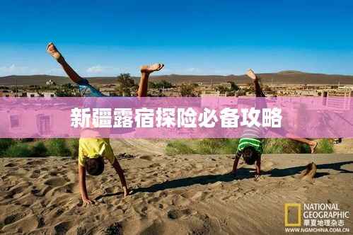 就地取材 第2页